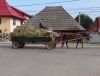 10_115 Marginea.jpg